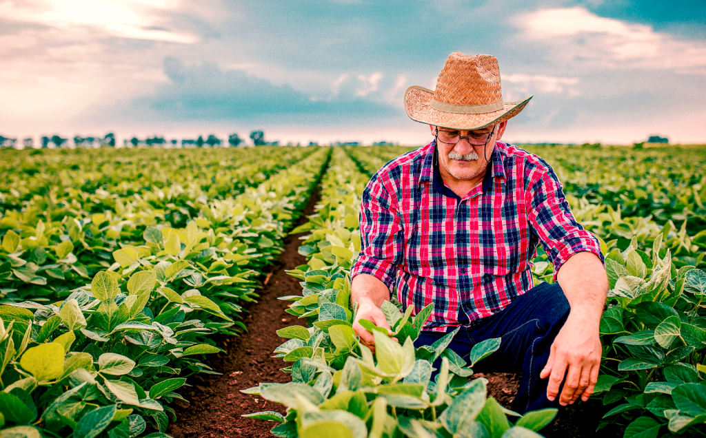 Agricultor familiar PNAE